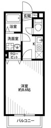 アムール SHINYAの物件間取画像